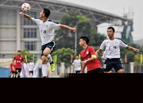 卡兰卡：罗德里和卡瓦哈尔是国家队的领袖，希望他们尽快回归（卡兰卡：罗德里与卡瓦哈尔是国家队领袖，期待他们尽快归队）